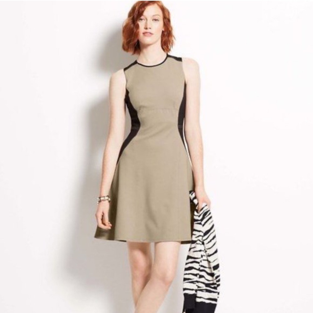 Ann Taylor Colorblock Fit and Flare Mini Dress 6